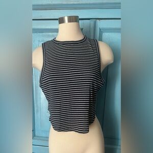 Aerie Blue and White Cropped Tank Top